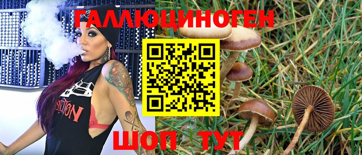 Галлюциногенные грибы Magic Shrooms Всеволожск