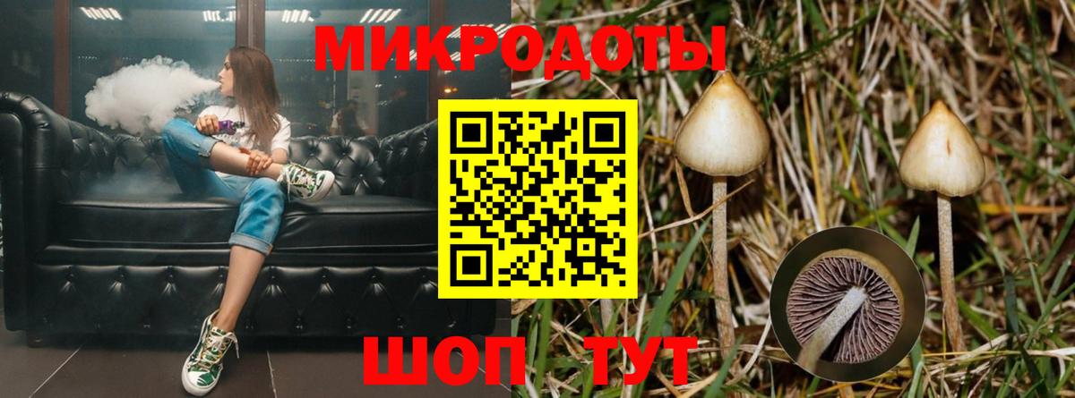 Галлюциногенные грибы Magic Shrooms Всеволожск
